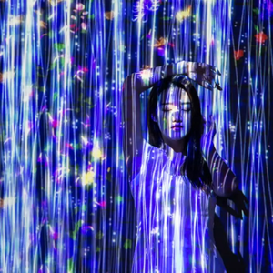 Projection d'art numérique multi-sensoriel Cartographie Projection murale interactive Salle de projection immersive - Product Image 3