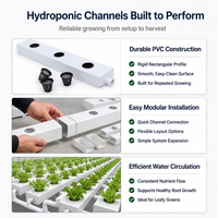 Système hydroponique NFT professionnel en PVC pour la production efficace de légumes-feuilles et de laitues