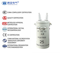 Transformador Toroidal Monofásico Pengbian D11-25kVA para Montaje en Poste, 13.2kV 120/240V, Totalmente Sellado, 50/60Hz, IEC, Directo de Fábrica