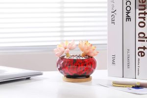 Graziosi <span class=keywords><strong>Vasi</strong></span> in Ceramica per Piante Grasse con Smalto Effetto Ghiaccio Crepato a Forma <span class=keywords><strong>di</strong></span> Tazza da Tè con Drenaggio e Sottovaso in Bambù - Product Image 5