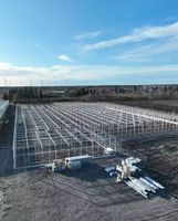 Grote multi-span klimaatkamer voor de teelt van groenten, bloemen en fruit met automatische irrigatie