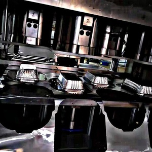 Machine de poinçonnage de récipient de papier d'aluminium de fabrication de la chine - Product Image 3