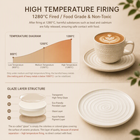 Ensemble tasse à café et soucoupe en céramique rétro à motif plume, mug en porcelaine haute température, glaçure artisanale rétro pour la maison, le bureau et le café