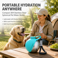 Bol pliable rond pour chien, en acier inoxydable 304, silicone, imprimé animal, étanche, portable avec crochet – Vente en gros