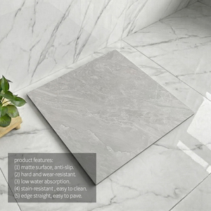 Dalle en porcelaine mate imitation pierre gris clair minimaliste 24*24 pouces - Product Image 2