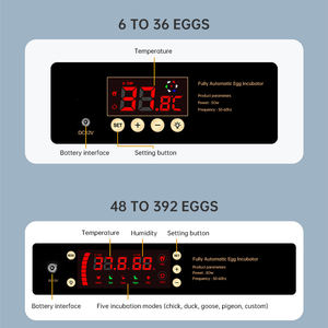 Оптовая продажа: Новейший инкубатор на 300 яиц, полностью автоматическая машина для выведения цыплят - Product Image 6