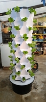 2025 nouvelle tendance soins sains intérieur NFT systèmes de culture hydroponique maison verticale jardin tour planteur avec lumière LED