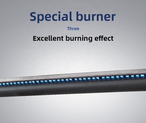 Four commercial hybride électrique et à gaz tout-en-un en acier inoxydable pour la cuisson de pain, gâteaux, pizzas, biscuits et autres produits de <span class=keywords><strong>boulangerie</strong></span> - Product Image 2