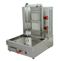 Machine à kebab/shawarma professionnelle écologique au gaz, en acier inoxydable, à deux brûleurs, pour hôtels et restaurants
