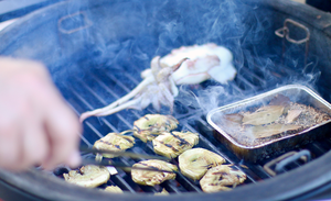 Fournisseur en gros de granulés de sciure de bois Legua, prix des granulés de copeaux d'oranger avec plateau en aluminium, Espagne - Product Image 4