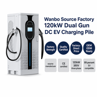Borne de recharge rapide DC pour véhicules électriques 120 kW à double borne CCS2 OCPP 1.6 CE
