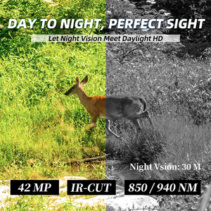 กล้องล่าสัตว์ป่า4K พร้อมเลนส์โฟกัสคงที่ไร้สายพลังงานแสงอาทิตย์/แบตเตอรี่มองเห็นกลางคืน100ft จูเนียร์ติดตั้งง่าย MK10 Iqiaoo - Product Image 5