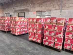 Nuovo Raccolto 2026: Mele Fuji Rosse Fresche dalla Cina, Qualità Premium, Dolci e Succose, Vendita all'Ingrosso, Grado Export 80mm/85mm - Product Image 4