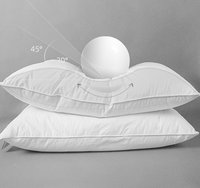 Ensemble literie de luxe en duvet d'oie, coussin de lit, taille Standard, hypoallergénique, Collection d'hôtel