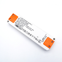 Mini conducteur de lumière de bande de LED 12V 24V DC 24W 12W transformateur d'éclairage LED étanche armoires d'alimentation à sortie unique