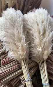 Erba della Pampa Grande all'Ingrosso 120 cm, Piume Soffici Secche, Fiori Naturali per Decorazioni Matrimoniali - Product Image 6
