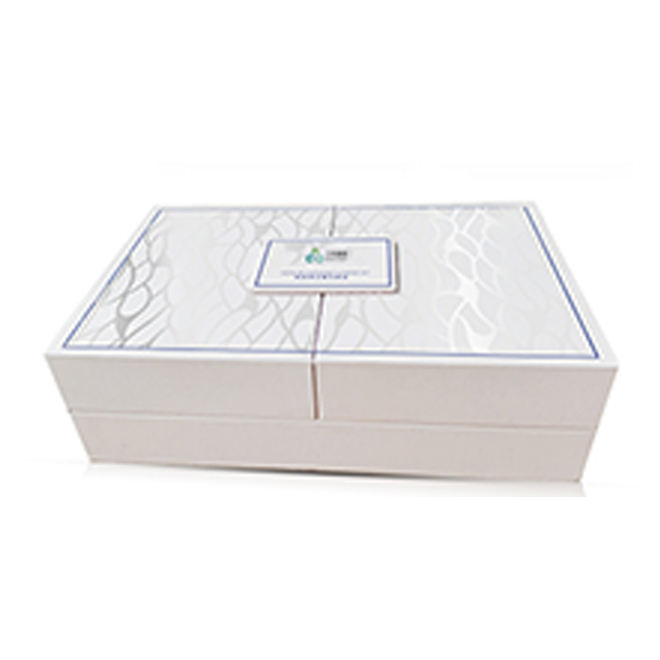 Facial Cleanser (milk,Cream) Beautiful Routine Kit Custom Tool Packaging Hydrating Skin Care Set For Face 