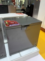 Congélateur horizontal OEM/ODM 250L haute capacité avec dégivrage manuel, prise en charge de la langue française, pour usage domestique