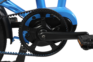 20 인치 프레임 마운트 배터리 및 DAPU 250w 중반 모터 벨트 드라이브 전기 자전거 소형 접이식 ebike 전기 자전거 - Product Image 4