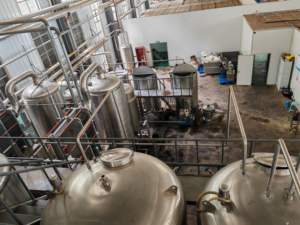 Dut meyve yaprağı ekstresi ücretsiz örnek tozu antosiyanin çin fabrika bitkisel doğal dut yaprağı ekstresi - Product Image 6