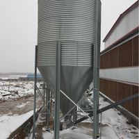 Silo per Cereali e Mangimi Industriale di Alta Qualità in Vendita, Costruzione in Acciaio Resistente per Magazzino