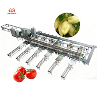 Gelgoog Palm Kernel Sorteermachine voor het sorteren van kersentomaten, fruitgrootte sorteren en kalibreren, machine voor het sorteren van fruit op grootte