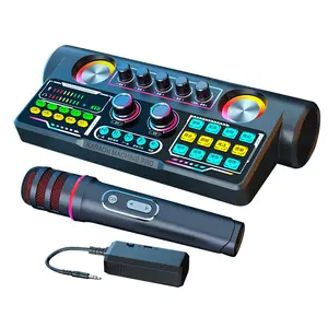 Scheda audio audio stereo per la registrazione Karaoke con 2 microfono wireless per recor,