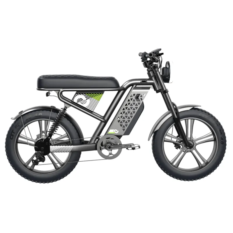 Vélo à assistance électrique de 48V, 750W, 1000W, vitesse maximale, 32mph, 80km de portée, moto vintage et hardcore, bicyclette électrique design