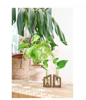 Ivolador marron hydroponique plantation panier bois écologique Art décor forme irrégulière maison bureau planteur Pots de fleurs jardinières