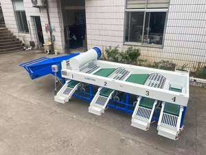 Máquina Clasificadora y Empacadora de Frutas Perfecta, Línea de Clasificación de Frutas, Máquina Clasificadora y Limpiadora de Frutas y Verduras - Product Image 4