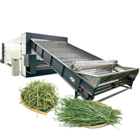 Industriële droogmachine voor citroengras, palmbladeren, zeewier, hooi, stro, gras en met gaasbandtransportband