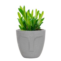 Tanaman Pot Bunga Resin, Gaya Nordic Mini Kreatif Bentuk Wajah Bulat Kualitas Tinggi