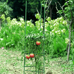 Piquets de plantes en acier robustes avec revêtement métallique en PE Fournitures de jardin pour soutenir les pots de plantes grimpantes et les serres - Product Image 5
