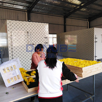 Nouvelle technologie : Séchoir à chrysanthèmes, déshydrateur de fleurs, four de séchage à pompe à chaleur