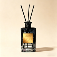 Diffuseur de parfum d'ambiance WELLNESS pour la maison, personnalisable avec logo, nouveau design, bouteille en verre, bâtonnets diffuseurs d'arômes pour la pièce, cadeau