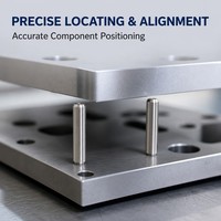 Goupille de centrage sur mesure en acier inoxydable pour alignement de gabarits, moules et matrices SS304 SS316, goupille de positionnement de précision en titane