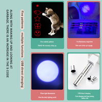Pointeur laser rotatif multi-motifs en métal pour chats, jouet interactif, recharge USB, durable, pour sessions d'activités intérieures pour animaux de compagnie