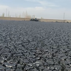 Fertilizante Orgánico Granular de Humato de Potasio con Alto Contenido de Ácido Húmico para Aumentar el Rendimiento de Cultivos de Maíz, Trigo y Cereales - Product Image 5