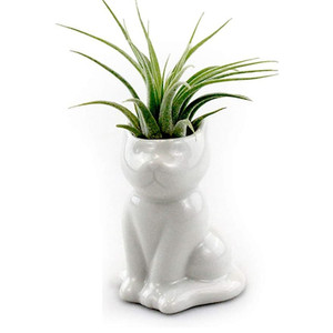 Ceramica <span class=keywords><strong>Testa</strong></span> di Aria Le Persone di Famiglia Fioriere-Impianto di Aria Titolari-Display Da tavolo Fioriere per Aria Piante e Altri mini Piante - Product Image 1