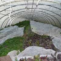 Vente en gros de tissu non tissé agricole 100% polypropylène, résistant aux déchirures, léger, couverture pour plantes, antigel