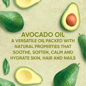 ETRUN ALISA Private Label olio di Avocado sfuso spremuto a freddo olio essenziale per schiarire la pelle crescita dei capelli semi commestibili raffinati - Product Image 4