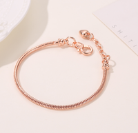 Bracelet à breloques en or plaqué or pour femme, chaîne serpent réglable, livraison gratuite