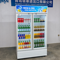 Réfrigérateur commercial vertical à porte vitrée simple, à refroidissement statique, écoénergétique, pour boissons et boissons gazeuses