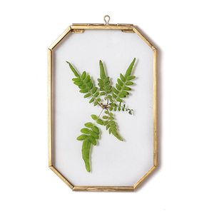 <span class=keywords><strong>Cadre</strong></span> <span class=keywords><strong>photo</strong></span> mural octogonal flottant double en <span class=keywords><strong>laiton</strong></span> doré et <span class=keywords><strong>verre</strong></span> transparent pour fleurs séchées - Product Image 6