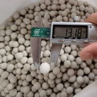 Bille céramique durable à faible teneur en alumine et faible absorption d'eau, support pour les installations chloro-alcalines et les colonnes de traitement de saumure