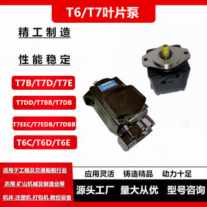 Pompe à aubes T6CC 012 008 1R00 B1, pompe à huile tandem pour systèmes hydrauliques de machines-outils de moulage par injection - Product Image 5