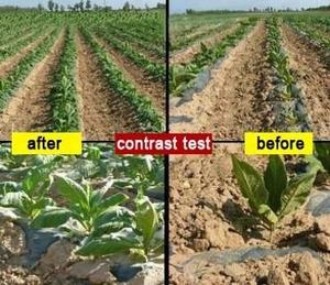 WELLDONE Hidrogel Agricola Agri Polymers 80 Mesh SAP polvere Fine agricoltura polimero <span class=keywords><strong>Super</strong></span> assorbente per pianta - Product Image 3