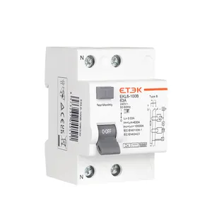 Main Switch Manual Reset Circuit Breaker Type B RCD 1P+N 25A 30mA with 6mA DC