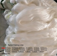 Fil de pêche en nylon monofilament en gros, transparent, 0,1 mm-1,4 mm, pour eau douce et eau salée, vendu au kilo