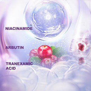 Kit de Soins Anti-Âge et Éclaircissant à l'Acide Kojique pour Marques Privées – Ensemble Nettoyant, Crème et Sérum Anti-Taches - Product Image 5